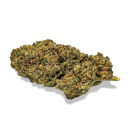 California Blueberry Flowers Lucky Hemp