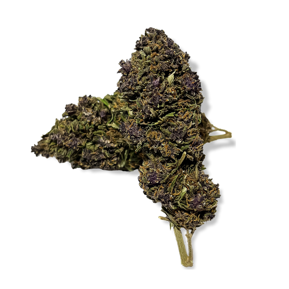 Purple Haze flowers Lucky Hemp