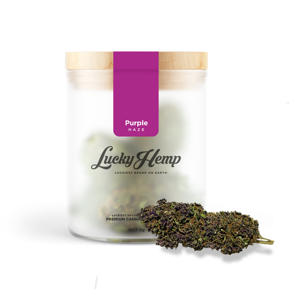 Purple Haze flowers Lucky Hemp