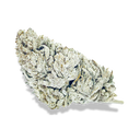 Snow Haze® 41% CBD ecopack flowers Lucky Hemp