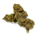 Strawberry Haze Ecopack Flowers Lucky Hemp