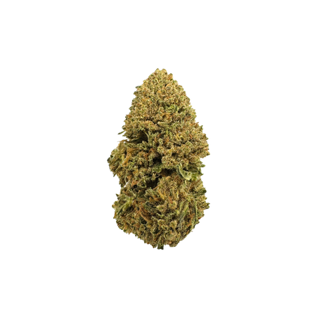 Cali Breeze Eco Pack
