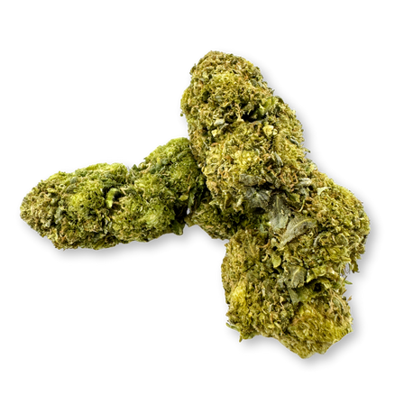 Oranje Droog Bevroren Eco Pack