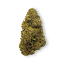 Tropical Haze Overblijfselen