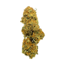 Mango Kush Eco Pack Flowers Lucky Hemp
