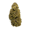 Aardbeving CBD