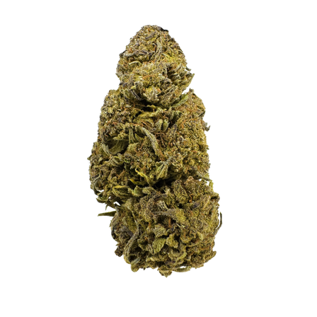 Aardbeving CBD