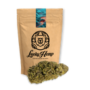 Aardbeving CBD