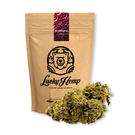 Strawberry Haze Ecopack CBD-bloemen – Lucky Hemp