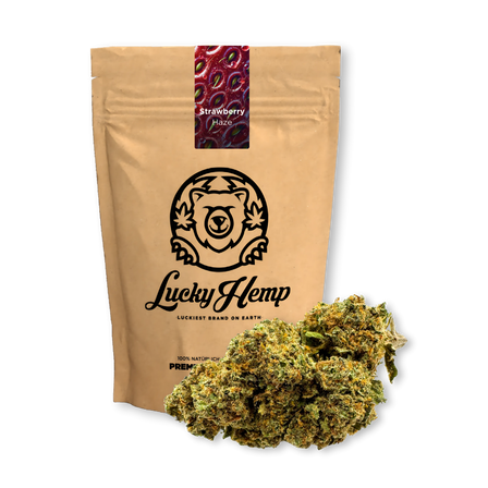 Strawberry Haze Ecopack CBD-bloemen – Lucky Hemp