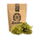 Oranje Droog Bevroren Eco Pack