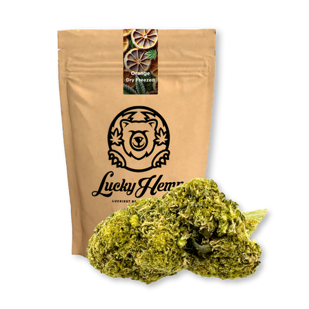 Oranje Droog Bevroren Eco Pack