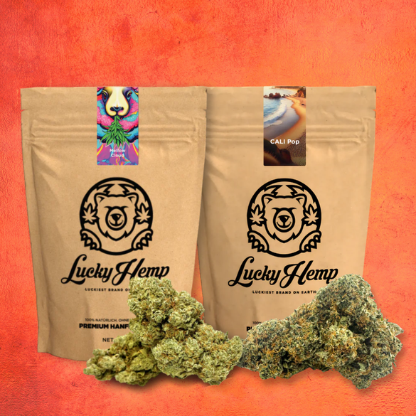 Premium Power-bundel