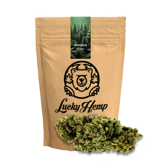 Amnesia Haze Ecopack CBD-bloemen – Lucky Hemp