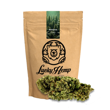 Amnesia Haze Ecopack CBD-bloemen – Lucky Hemp