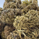 Aardbeving CBD
