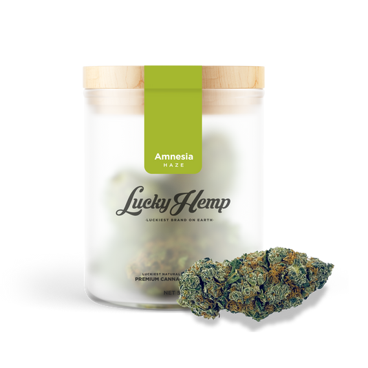 Amnesia Haze CBG CBD-bloemen – Lucky Hemp