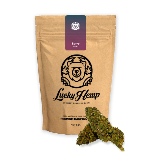 Berry Kush Ecopack CBD-bloemen – Lucky Hemp