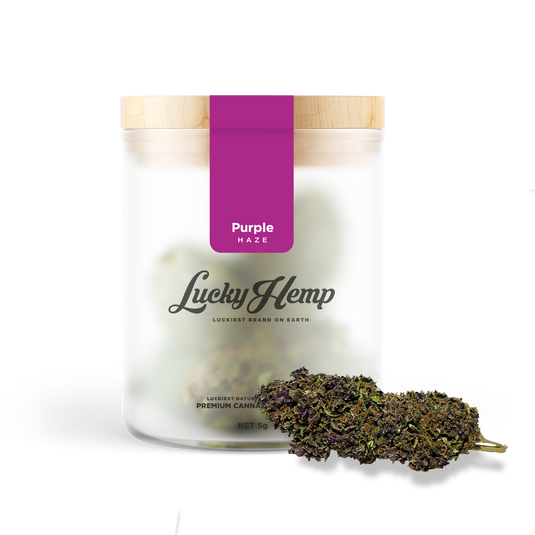 Purple Haze CBD-bloemen – Lucky Hemp
